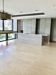 Hana (D10), Condominium #458911161